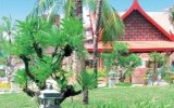 Фотография отеля Phuket Orchid Resort 3*